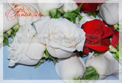 Felicitare de dragoste cu trandafiri
