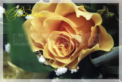 Felicitare de 8 martie cu un trandafir galben